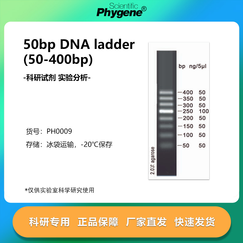 50bpDNAladder（50-400bp）
