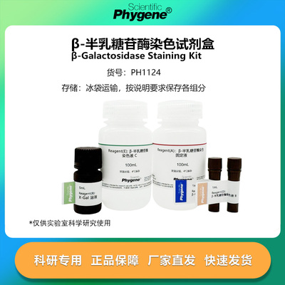 β-半乳糖苷酶染色试剂盒