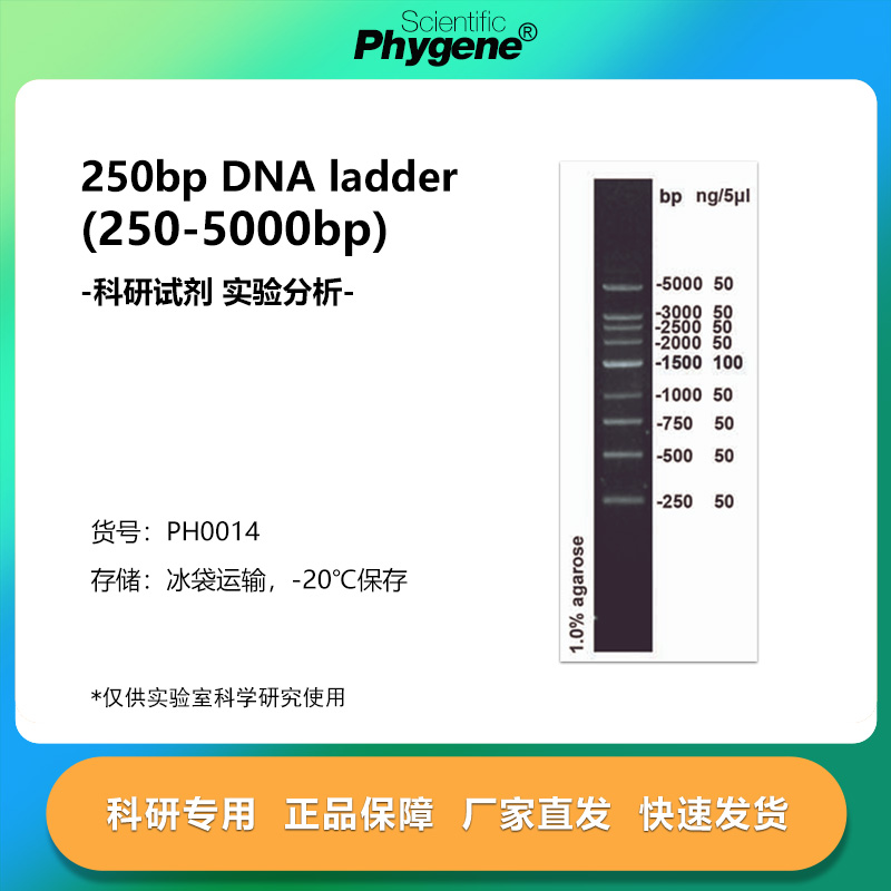 250bpDNAladder(250-5000bp)