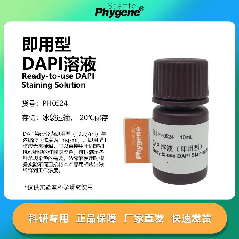 DAPI溶液即用型实验专用