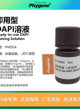 DAPI溶液 即用型 DAPI染色液 科研实验 10mL [PH0524 PHYGENE]