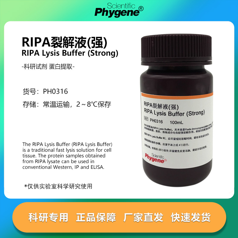 RIPA裂解液 强/中/弱 细胞组织裂解液 蛋白提取实验试剂 100ML