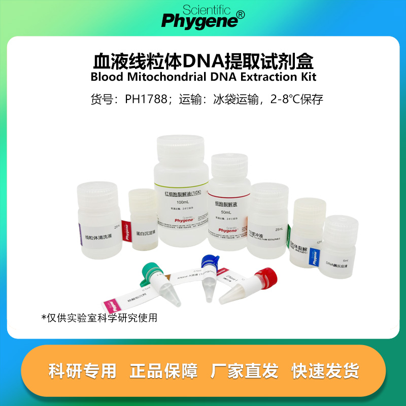 血液线粒体DNA提取试剂盒 100T 科研专用实验试剂 PH1788 PHYGENE