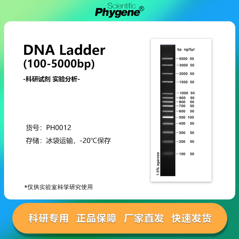 DNALadder(100-5000bp)