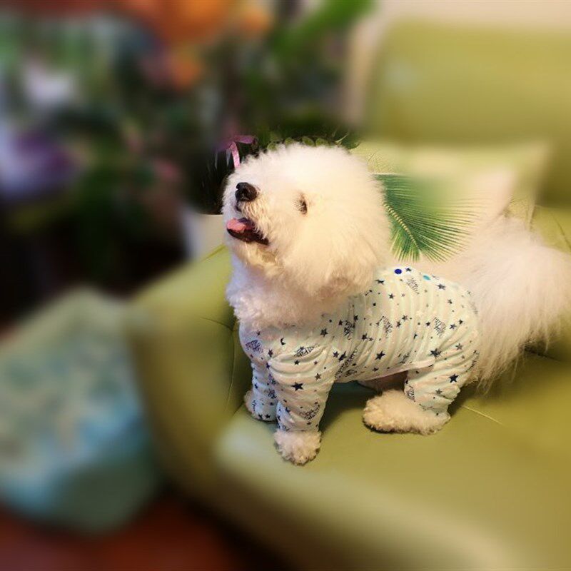 宠物包肚衣服纸样四脚衣背开扣A防掉毛金毛比熊图纸DIY缝纫打版