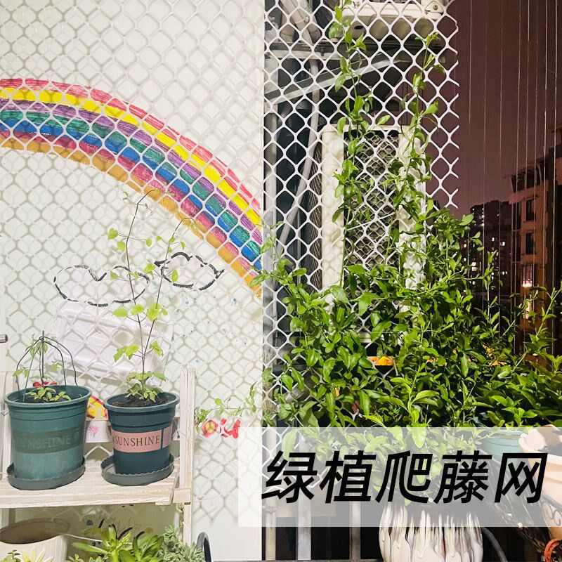 蔷薇爬藤网网塑料白色网架v藤蔓植物月季墙面攀爬支架室内花架牵
