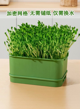 豆芽发芽盆水培蔬菜豌豆苗种植架无土栽培托猫草芽苗菜育苗盘托盘