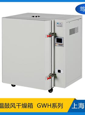 仪器GWH9030B型工业500度高温烘箱不锈钢电热高温鼓风干燥箱