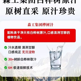 森公集团泉阳h泉白桦汁原液长白山白桦汁通宵饮用