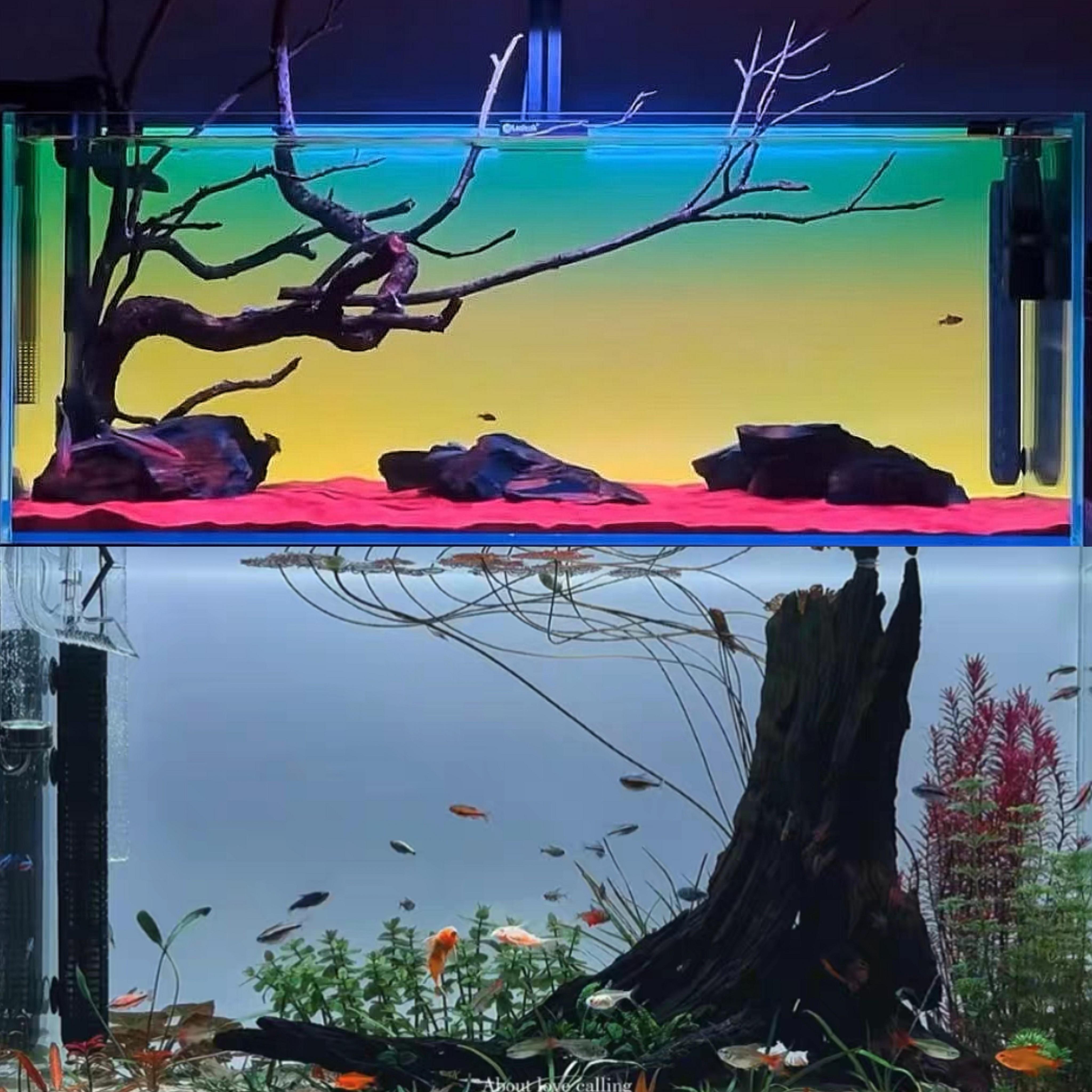 鱼缸沉木造景40-80缸紫柚木南美风树桩龟爬躲避水族装饰沉木