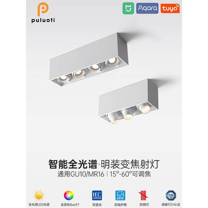puluti Led表面贴装射灯可调角度大胆灯客厅无主灯长顶棚箱灯