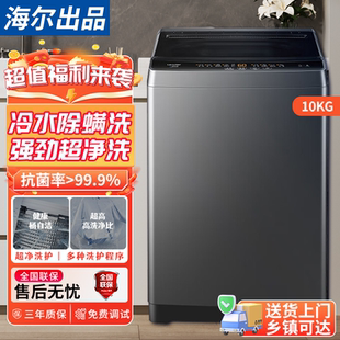 海尔TQB100 M533波轮洗衣机小型家用全自动10kg除螨租房用超净洗