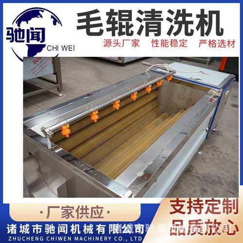 爆款清洗机 牡蛎海鲜毛辊清洗机 商用全自动莲藕红薯清洗去皮设备