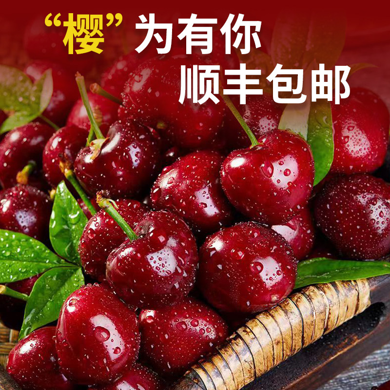 大连美早大樱桃脆甜可口顺丰包邮