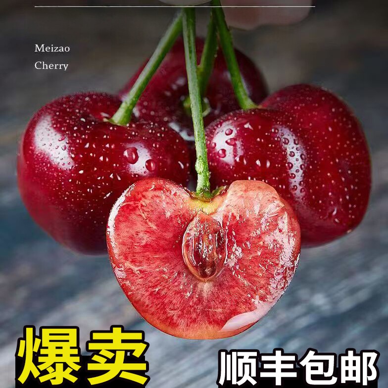 正宗大连美早沙蜜托大樱桃顺丰