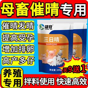 雄牧三日晴母猪发情粉配种牛羊产后的药提高产多仔诱情剂兽用促孕