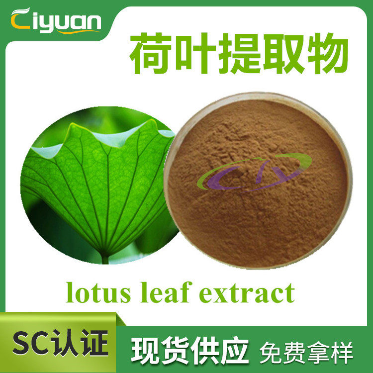 莲叶提取物lotusleafextract荷叶提取物优质品原料多规格现货