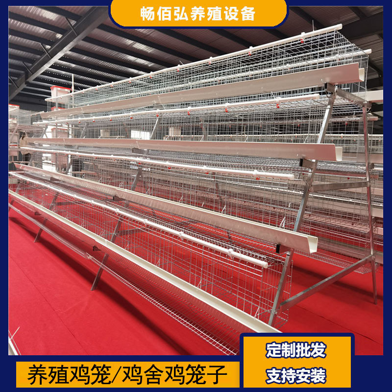 4层5门阶梯蛋鸡笼养殖工厂阶梯型A型鸡笼鸡窝热镀锌可供外贸