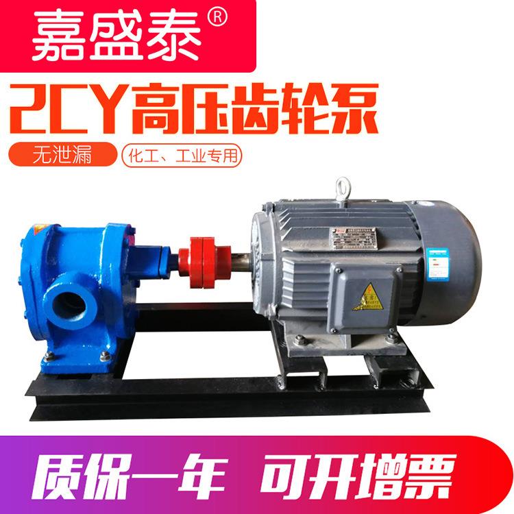 齿轮泵2CY-1.08型高压管道皂液泵卧式小型2cy齿轮油泵泵头