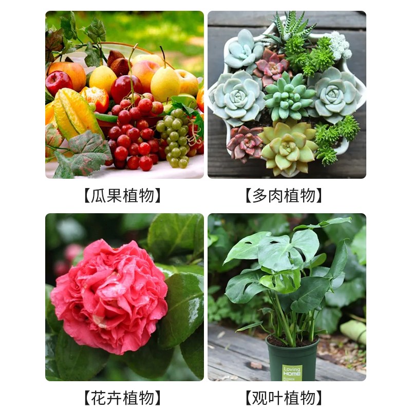 生根药水复活液枯树再生营养液快速植物扦插强力生根发芽水壮苗剂