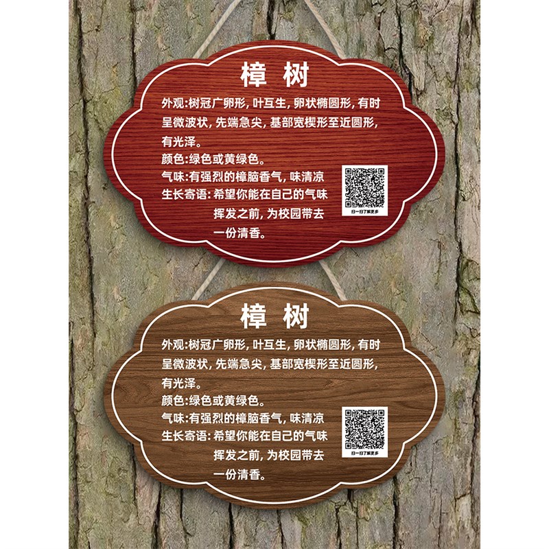 树牌挂牌植物标签挂牌大树品种名字介绍简介公园景区绿化带植物信