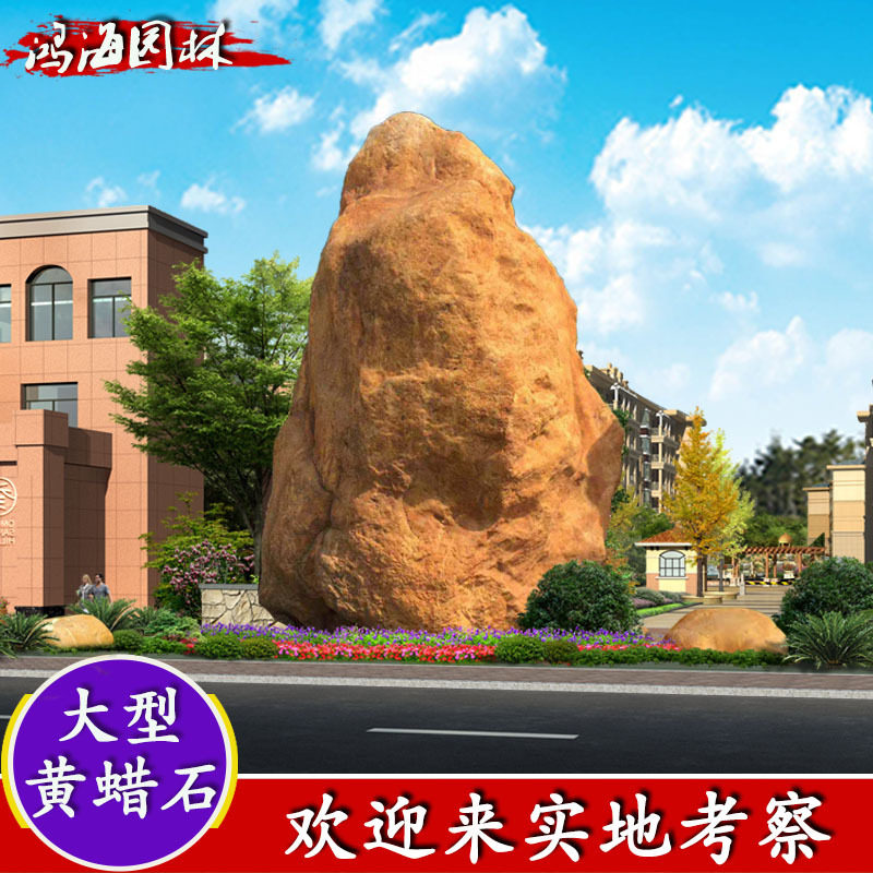 天然黄蜡石造型奇石景石校园公园文化石景石摆件黄石黄腊石黄蜡石