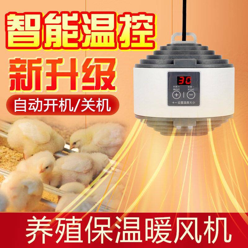 宠物龟取暖灯智8能温控养殖暖风灯仔猪仓鼠小保鸡狗小乌蜥蜴爬宠