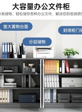 文件柜办公YJS室资料柜档案凭证料纳柜小矮柜储物收柜家资用落地