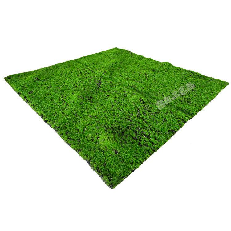 仿真苔藓草植物墙绿植造墙墙地面装饰面软31装景青苔人皮造假草坪