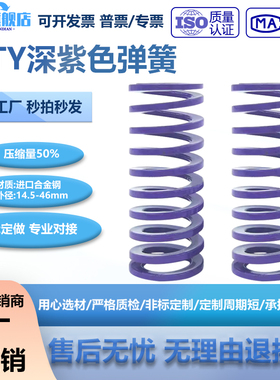 T-TY 深紫色弹簧合金弹簧模具弹簧矩形弹簧扁线弹簧耐热模具弹簧
