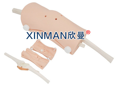 膝关节镜检查操作模型