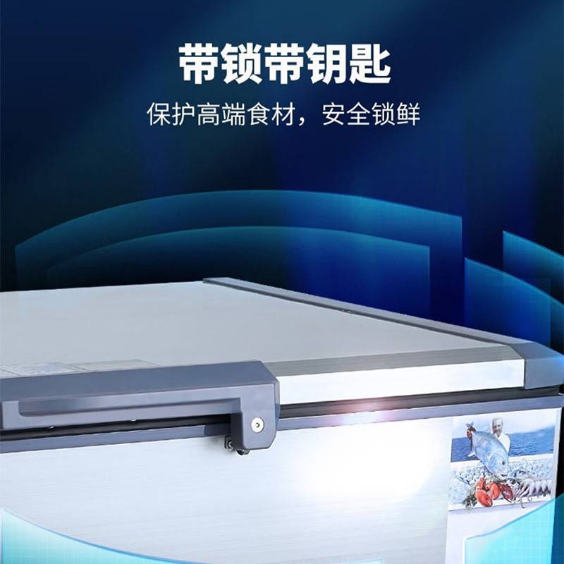速冻柜零下60度大容量超低温冰箱冰柜商用水产冷冻柜-40度实验室