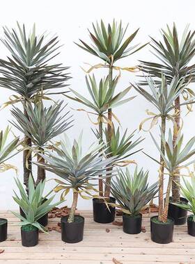 仿真绿内舌兰剑麻假树植物盆龙栽室客厅QAO装饰家居落地剑兰植盆