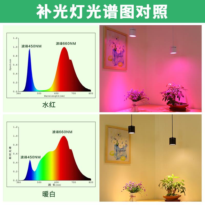 全谱植物光生长灯顶假山景多肉BIN吸天花吊线盆防太阳光室内补光