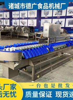 红薯贝贝南瓜全设28653自动转盘分式机分拣鲳鱼称重分选机活虾选