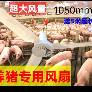 猪圈吊扇电e风扇羊圈牛场专用养殖猪舍工厂猪厂用降温大冷风猪解