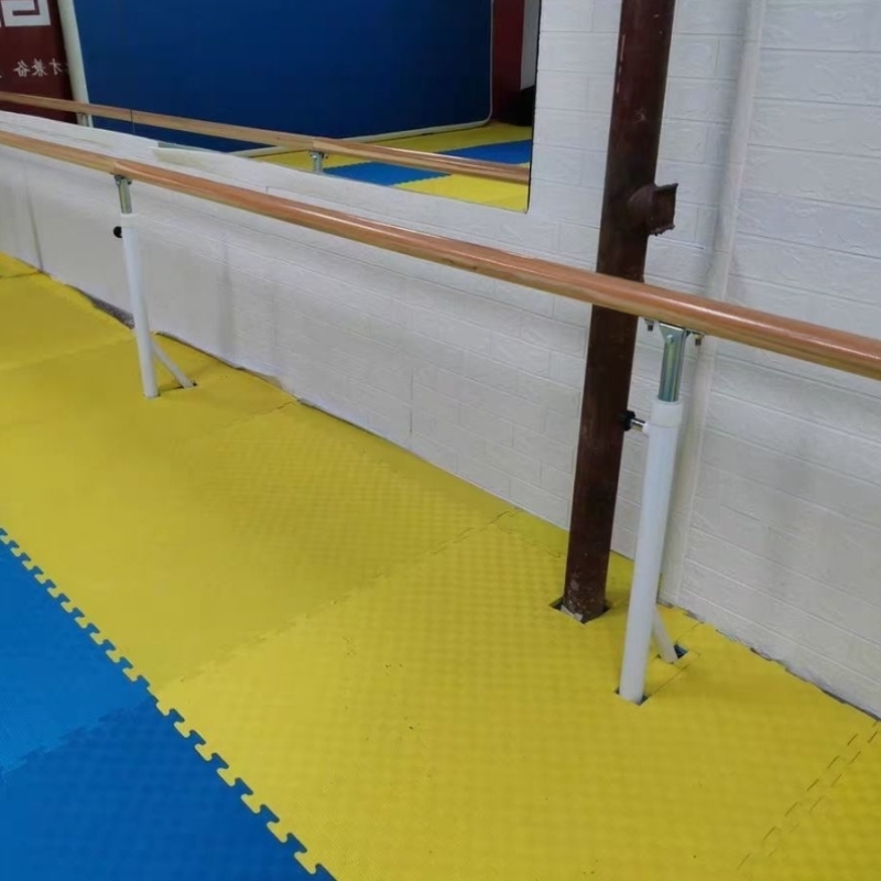 舞蹈把杆地面固定式专业跳舞练功杆家用基本功压腿杆老人扶手