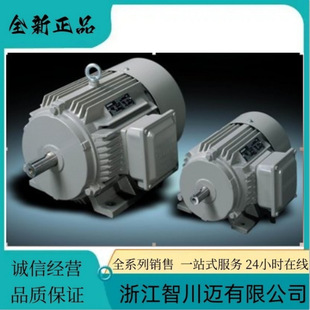 自通风380VD 3FA4低压电机鼠笼式 660VY50Hz3AC15KW 1DB43 1LE0003