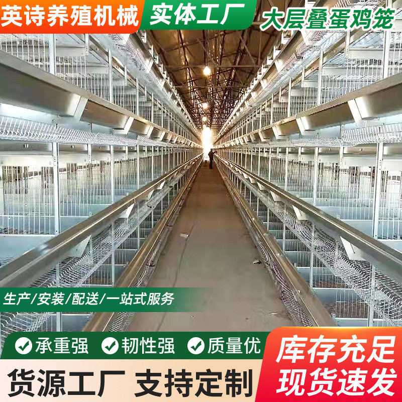 厂家层叠式全自动化捡蛋清粪/养鸡设备小层叠蛋鸡笼养殖设备