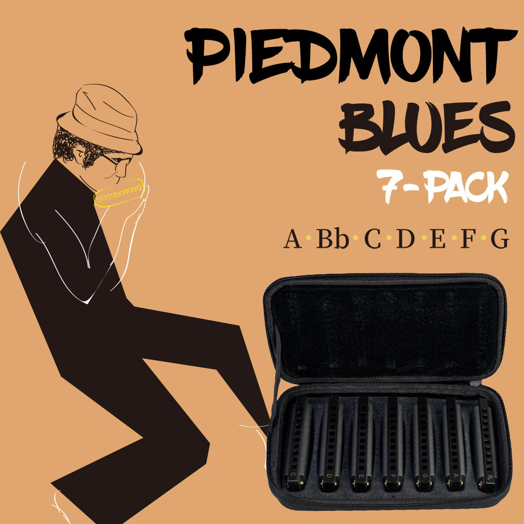 NAOMI 那迷 PIEDMONT BLUES 布鲁斯口琴10孔C调 专业演奏级套装