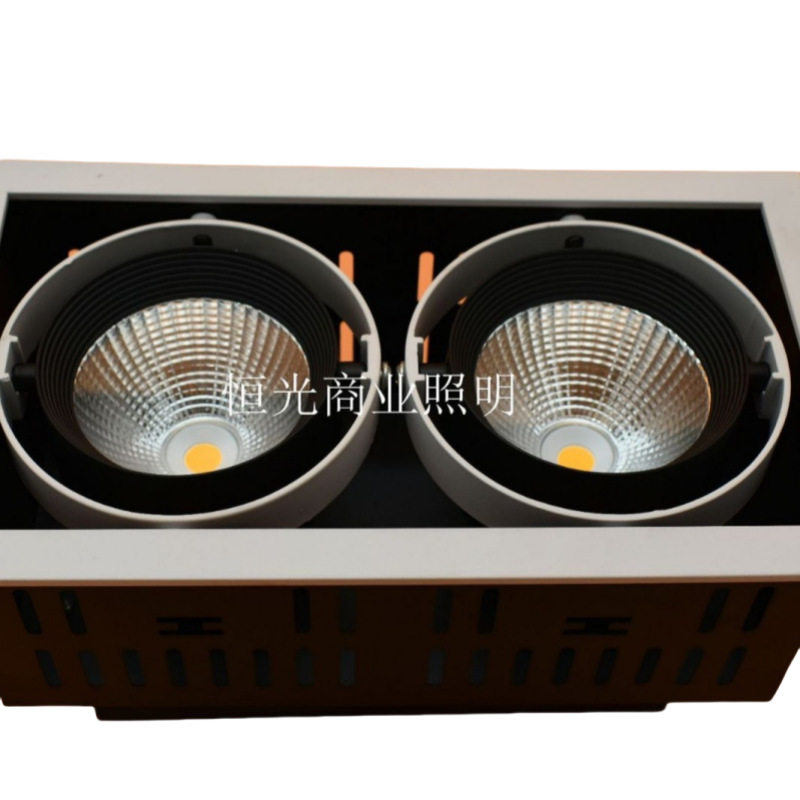 LED双头防眩豆胆灯 COB格栅灯 10W12W豆胆灯