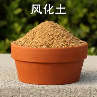 山地砂质壤土养花种菜种植营养土肥料河沙腐殖土风化砂叶岩土包邮