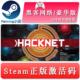 Hacknet 国区 全球key 骇客 激活码 豪华版 steam正版 黑客网络