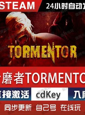 折磨者TORMENTOR steam游戏cdkey激活码单机电脑游戏全球区入库pc