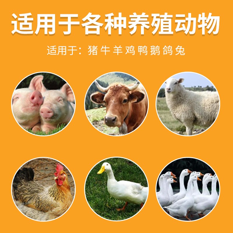 冰爽vc兽用清凉一夏禽用解暑抗热鸡鸭鹅鸽子猪牛羊应激补维生素C