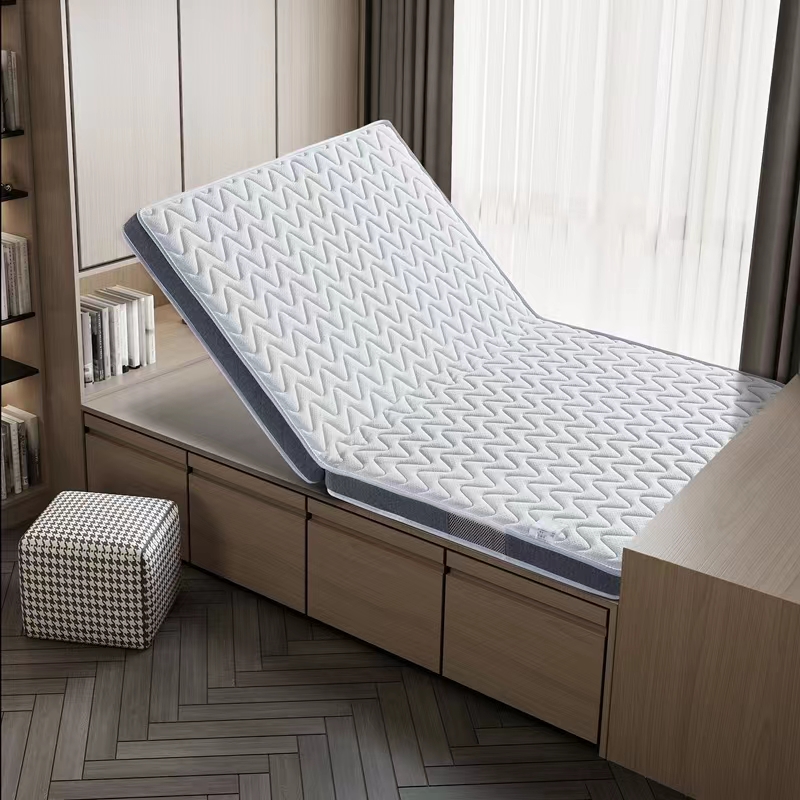 棕垫天然椰棕床垫软硬两用折叠可定制护脊硬垫家用乳胶软垫15cm厚