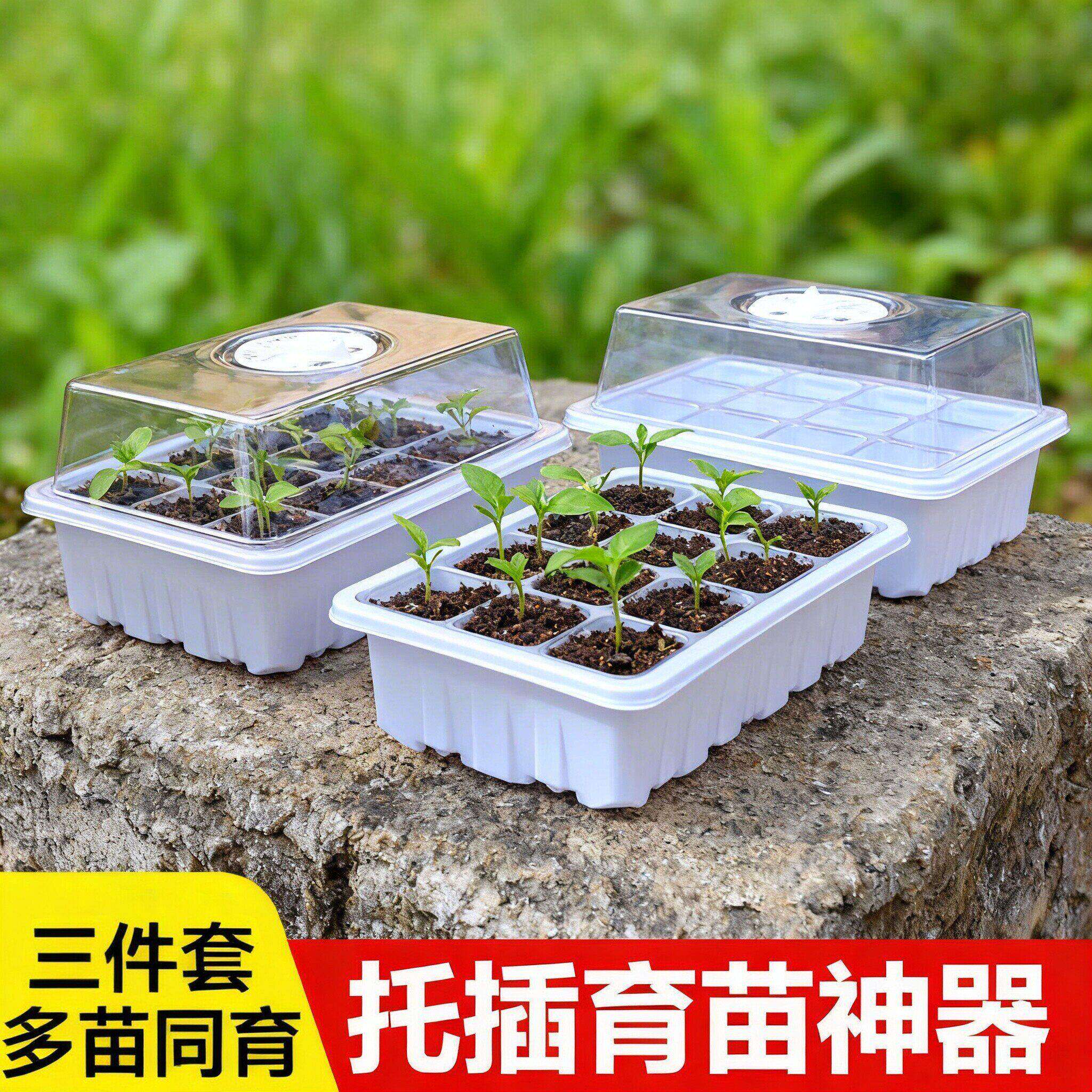 多肉叶插育苗盆三件套培养播种盒保湿温育苗盘12孔塑料育苗盒盖