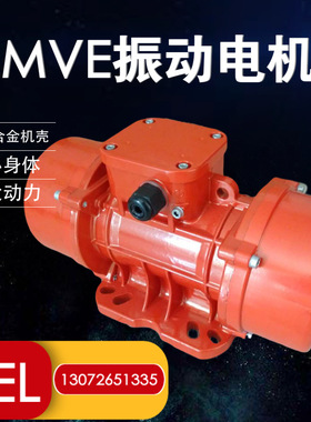 振动电机MVE50/1 工业震动马达380V 铜线 6级三相异步振动筛电机