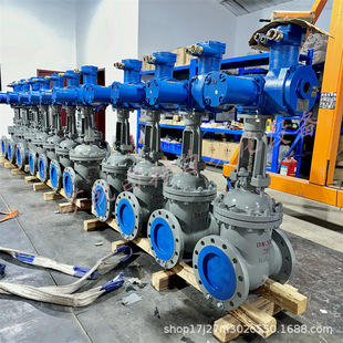 40C 垂直安装 DN300矿用一体式 法兰连接 隔爆型电动闸阀 ZJK941H