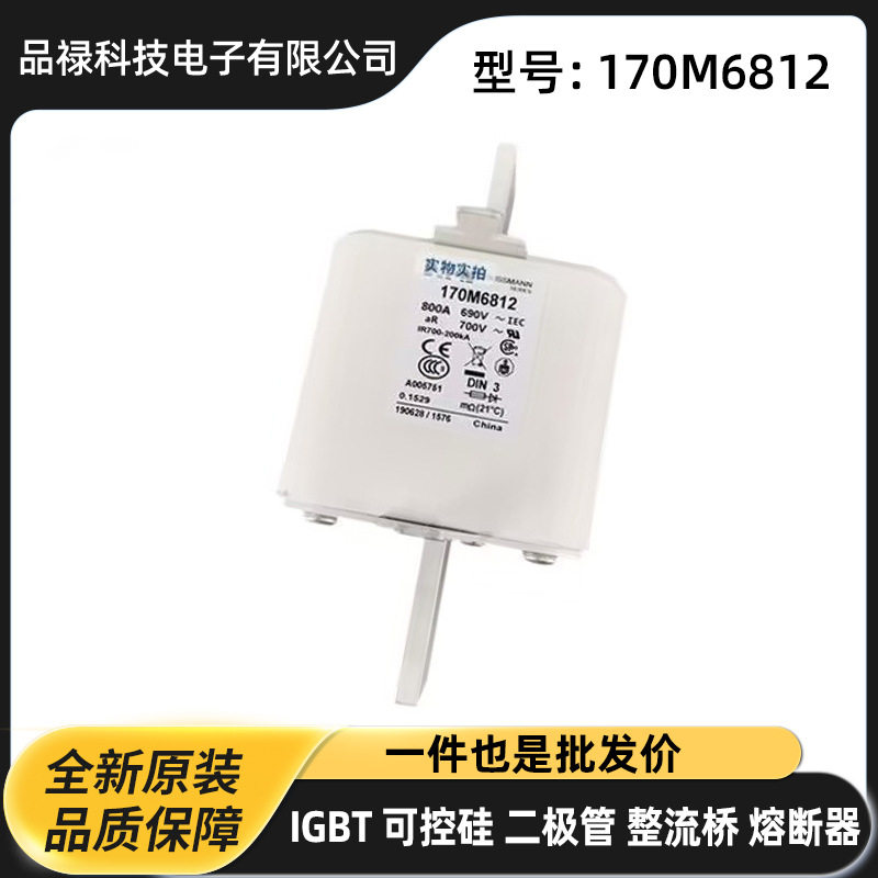 170M6734 170M6738 170M6739 170M6740型号齐全 高压快速熔断器